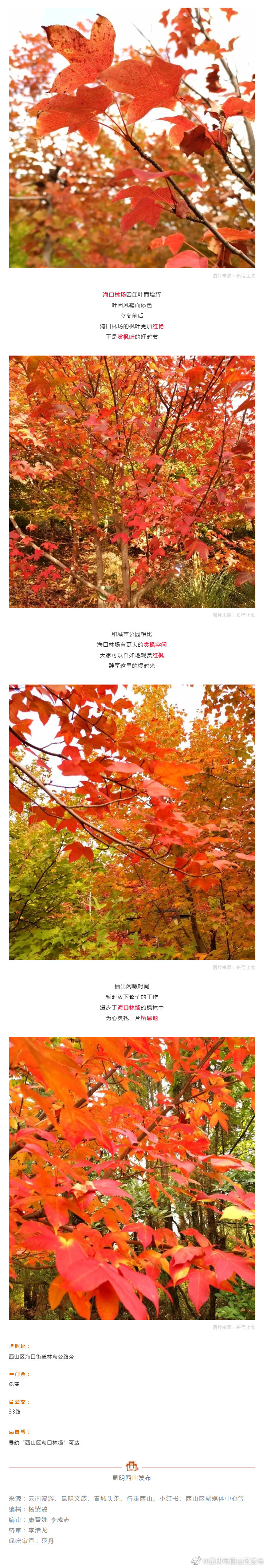 昆明市西山区发布
