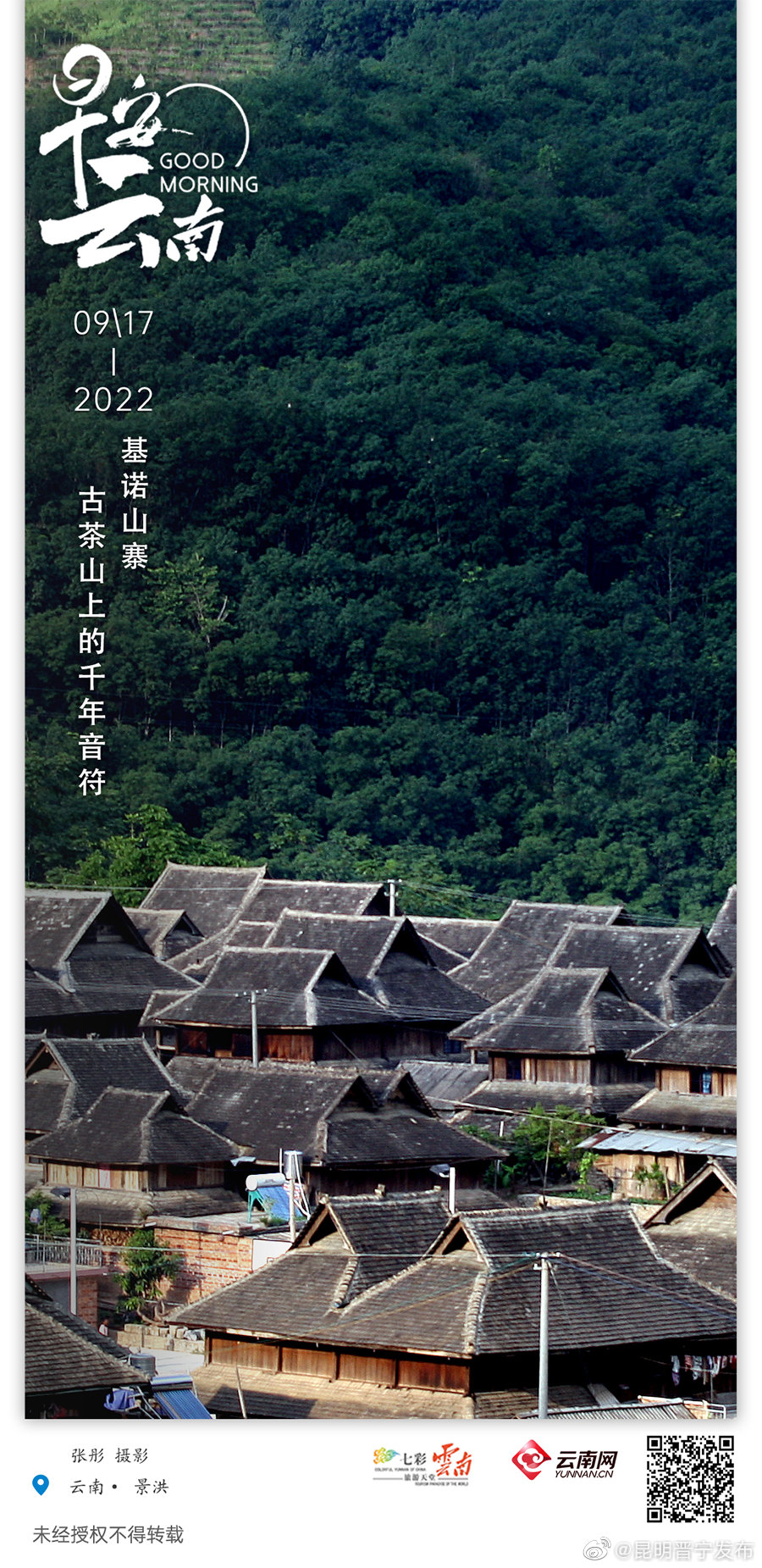 基诺山寨：古茶山上的千年音符