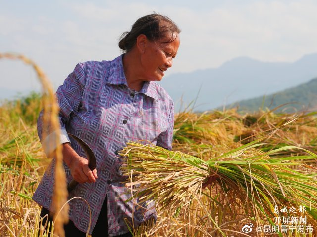 昆明晋宁发布