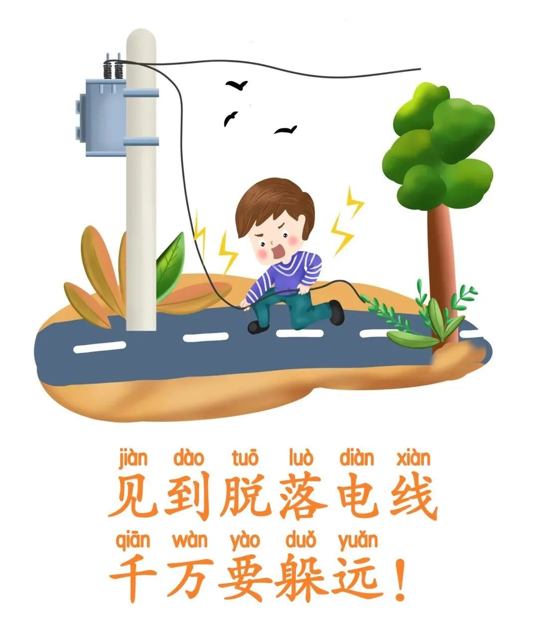 云南政法