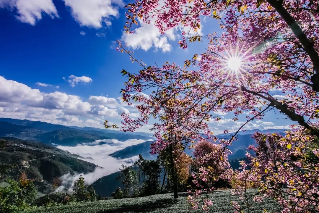 一部手机游云南