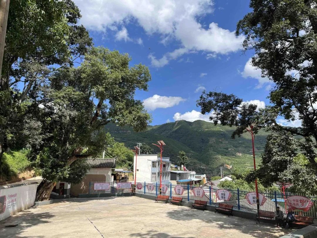 云南省人民政府网