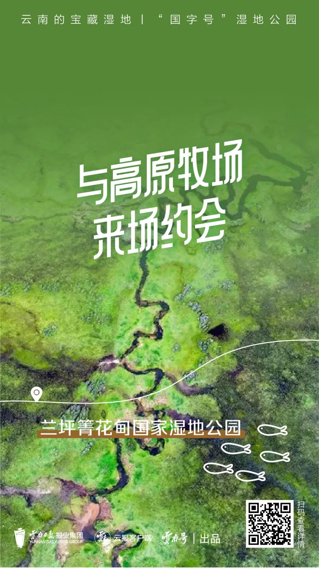 红色扎西