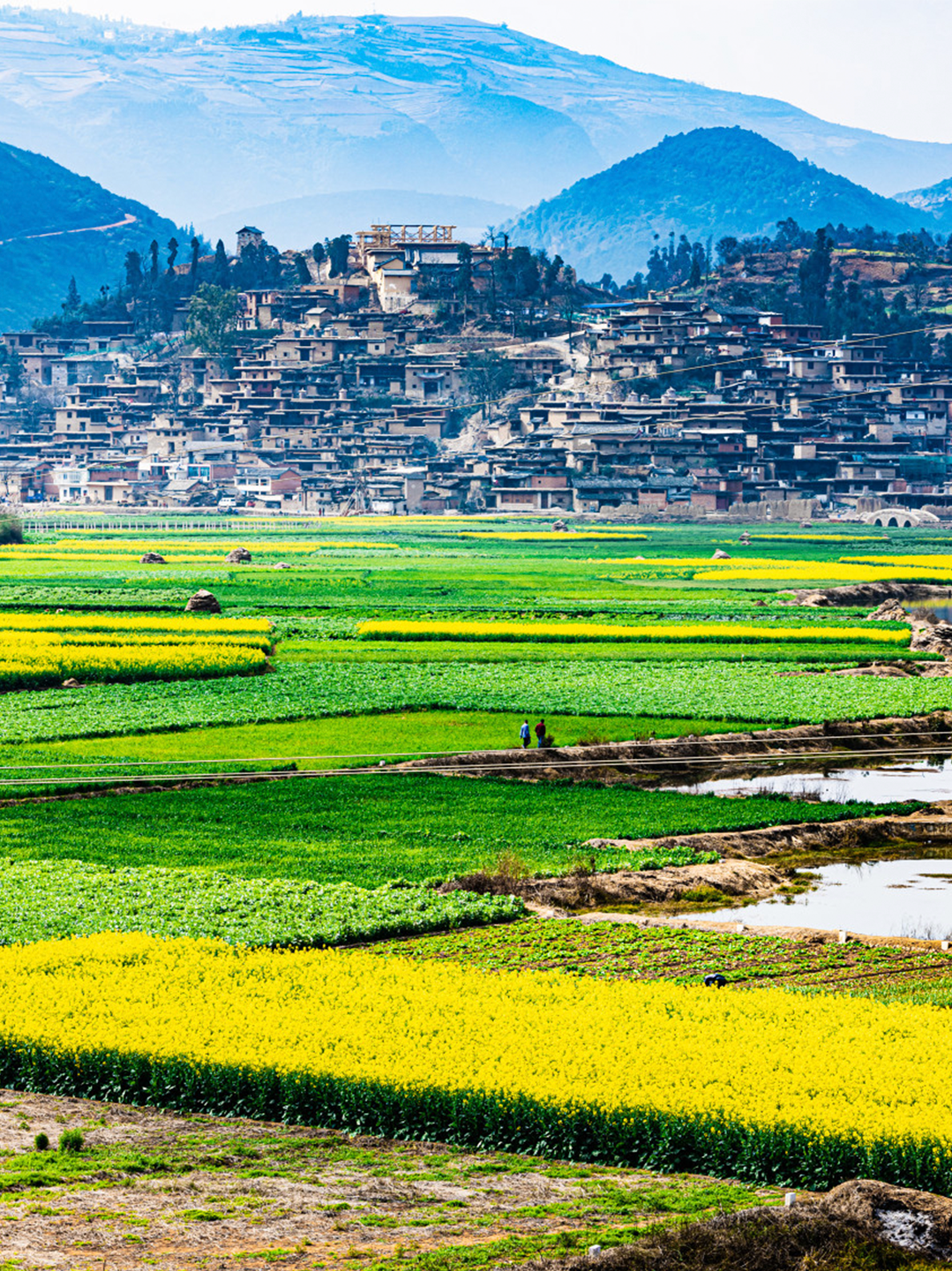 一部手机游云南