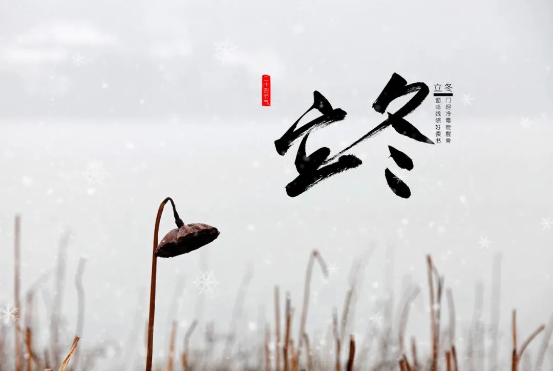 云南政协报