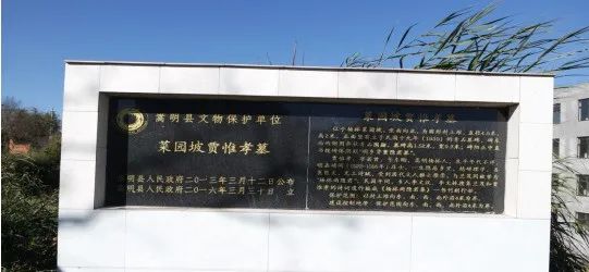 悦读嵩明