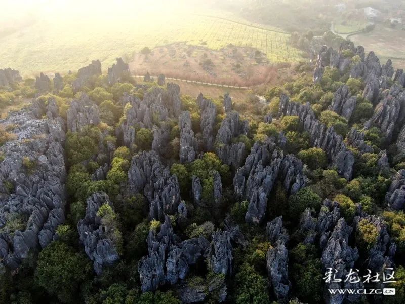 昆明信息港/cnkmxxg