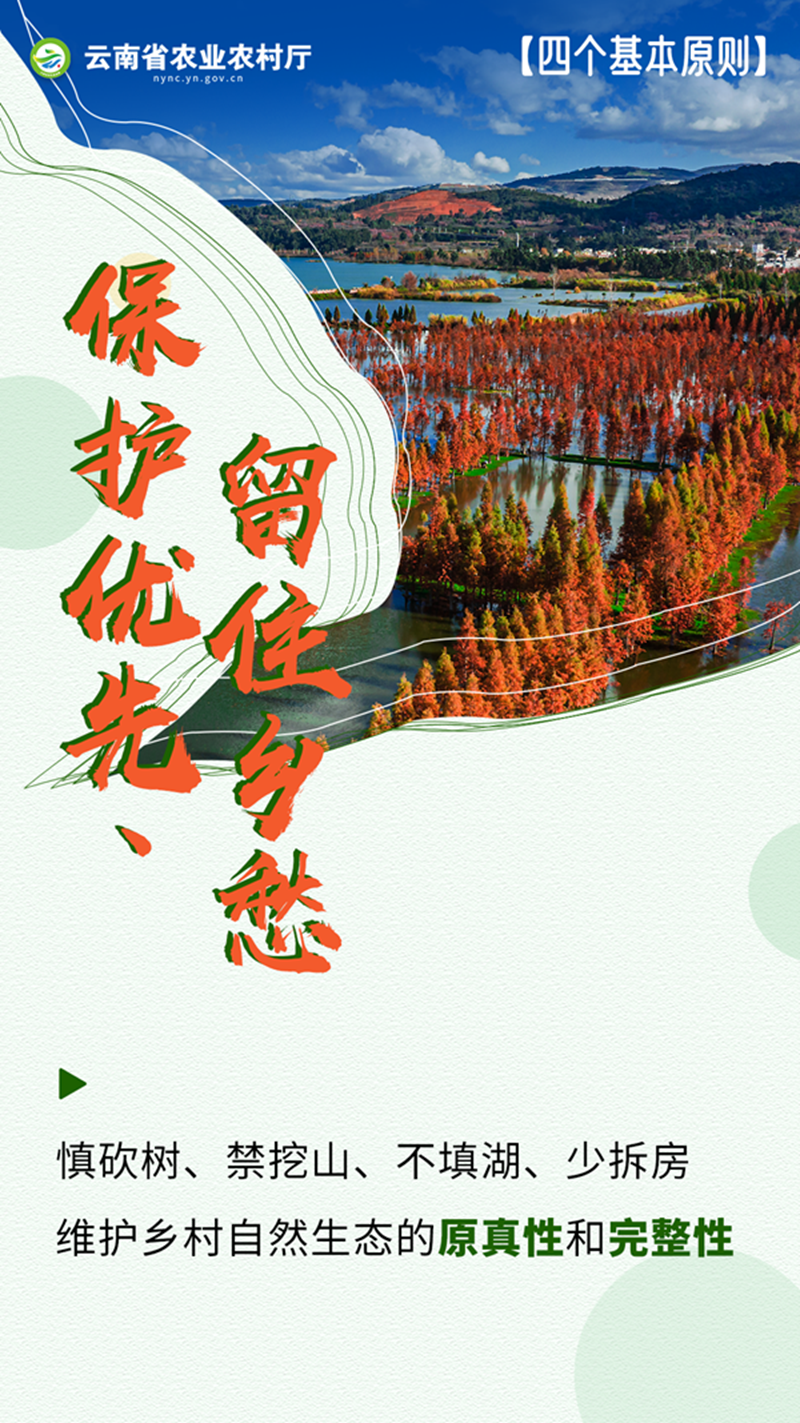 昆明市农业农村局