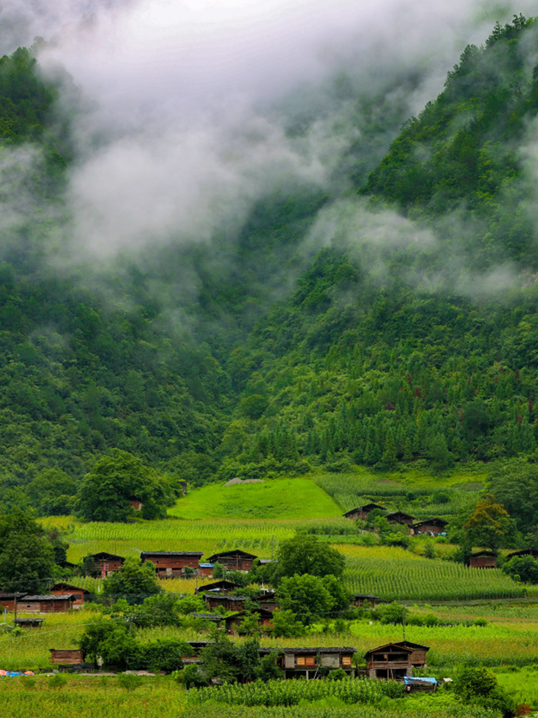 一部手机游云南