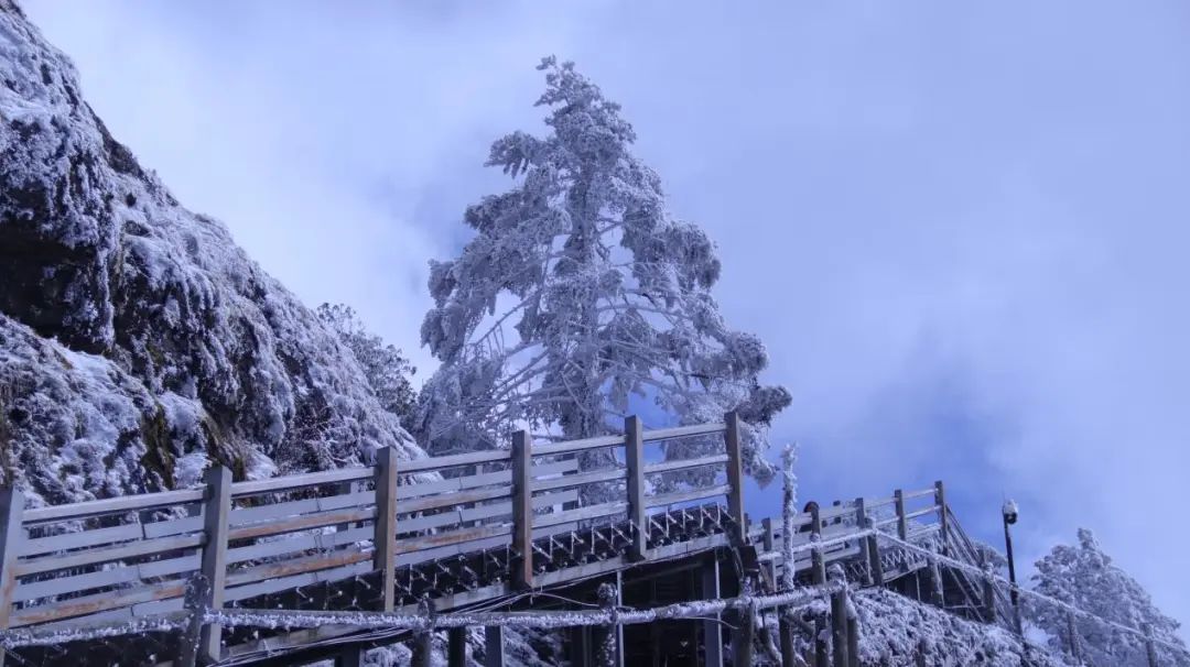 昆明轿子山旅游