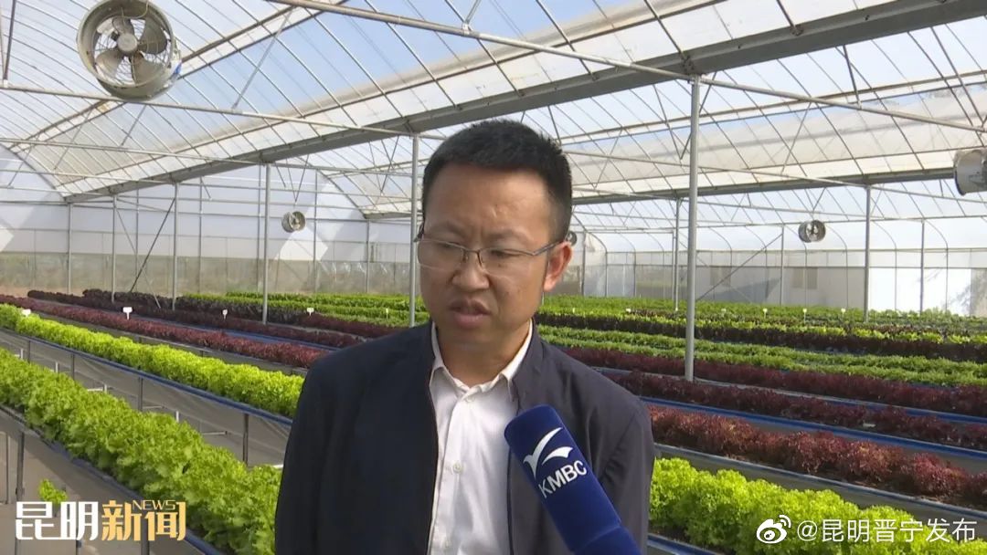 昆明晋宁发布