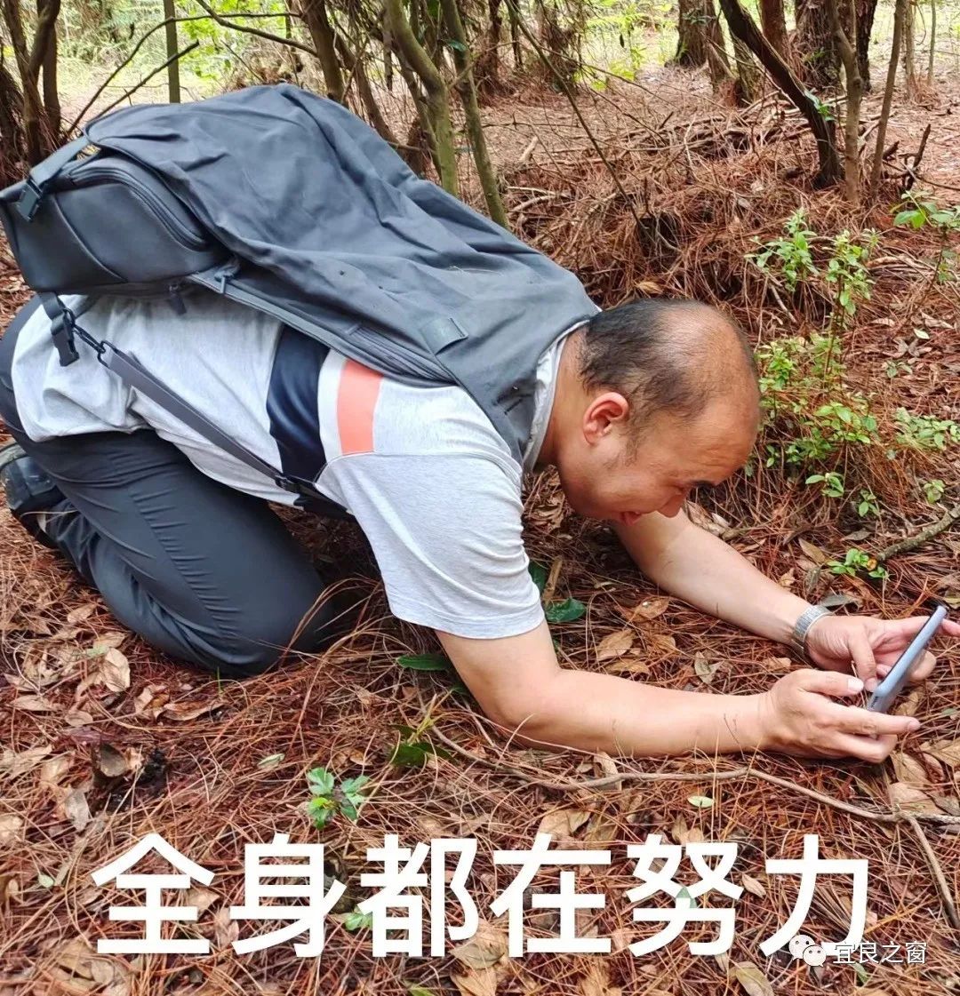 宜良之窗