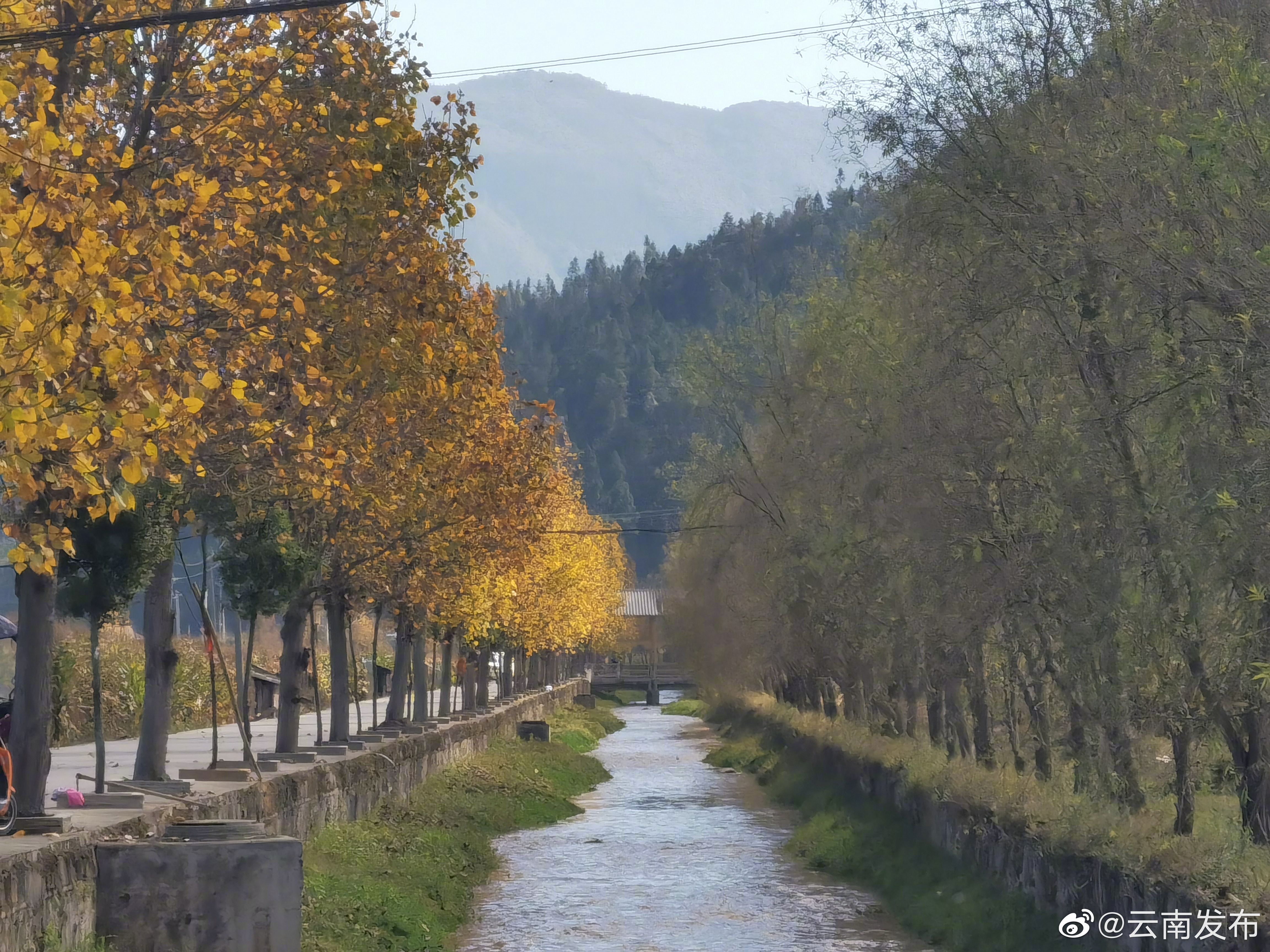 “云南发布”微博