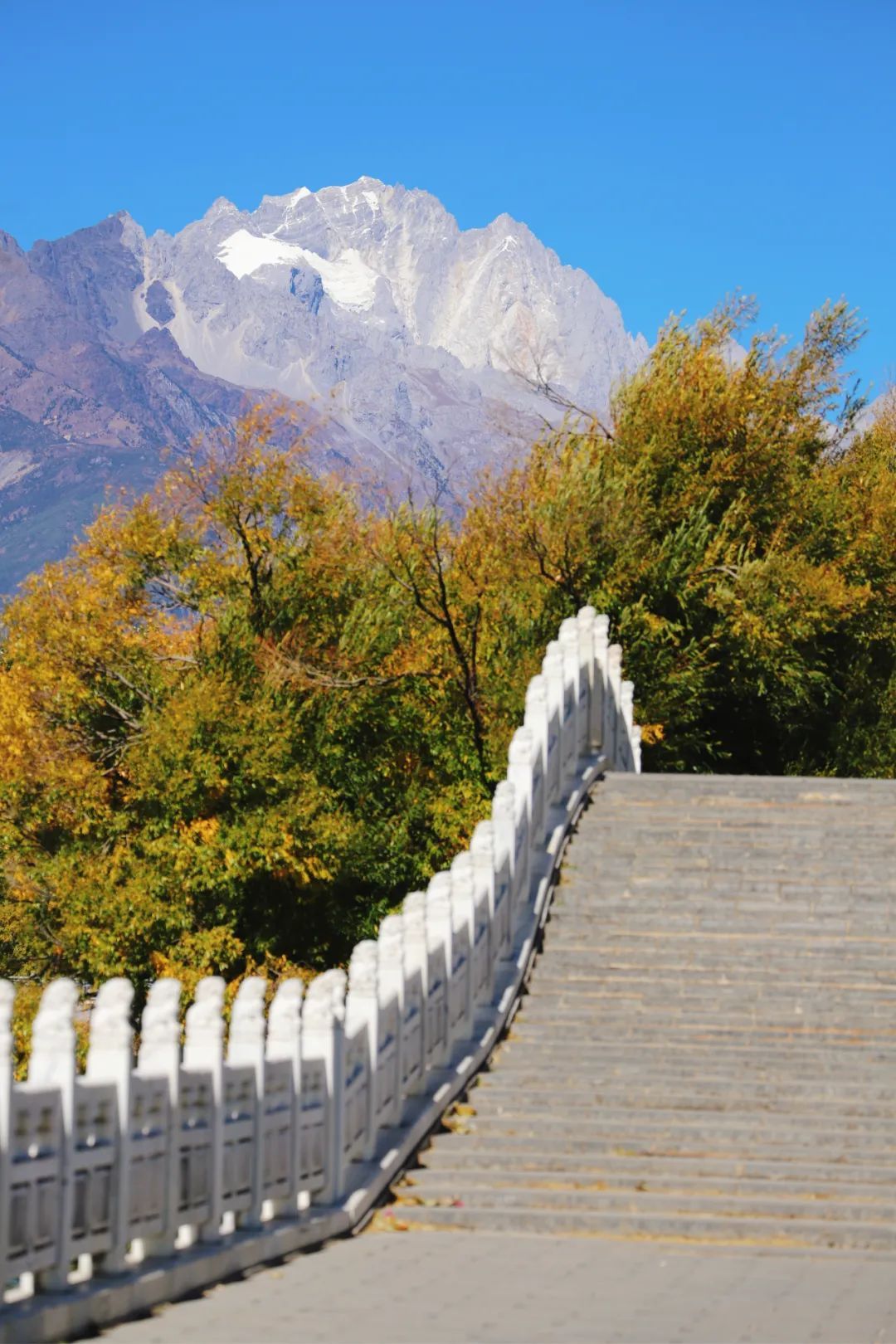 云南省文化和旅游厅