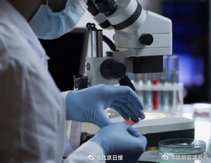 专家解读感染者居家隔离是否可行