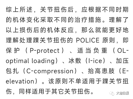 大理日报
