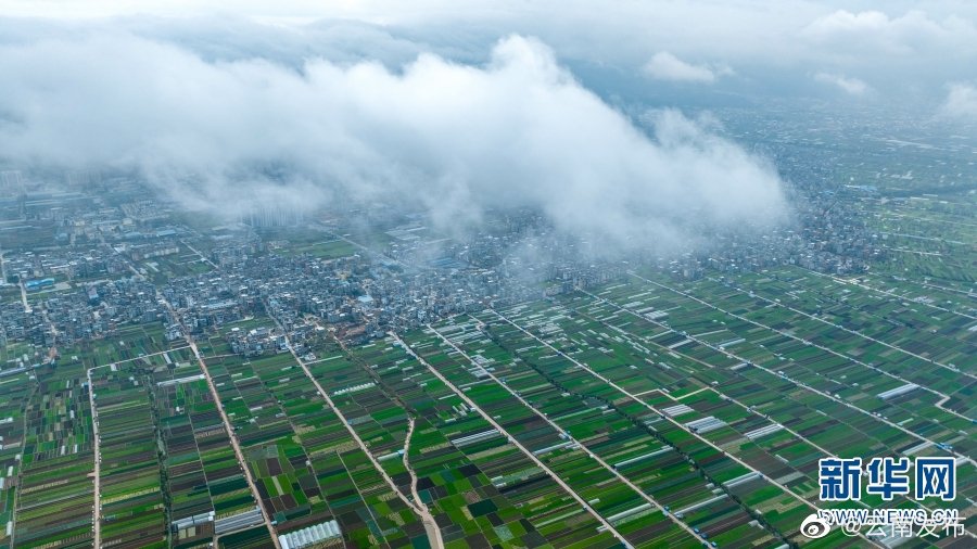 “云南发布”微博