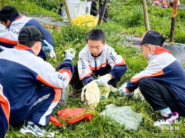 盘龙教育(微信)