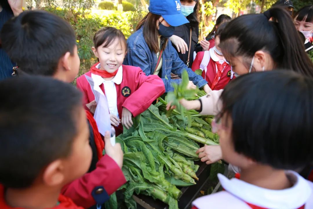 盘龙教育(微信)