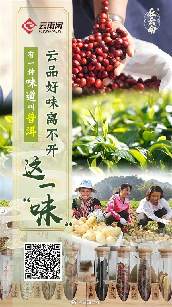 云品好味离不开这一“味”