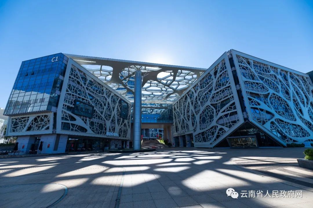 云南省人民政府网
