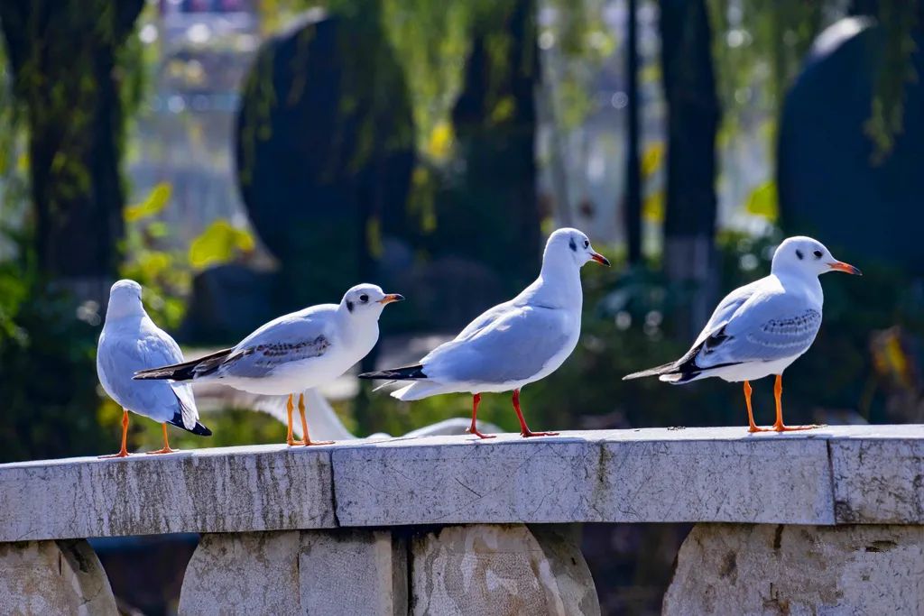 昆明文旅