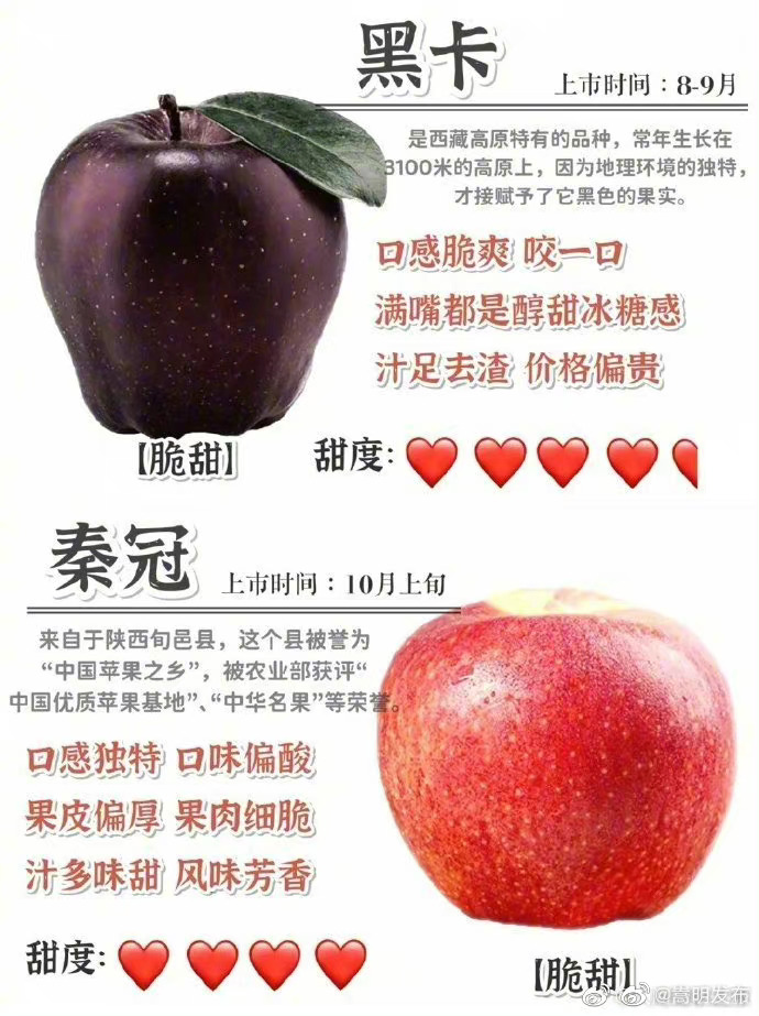 嵩明发布