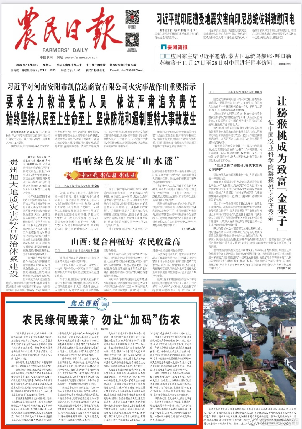 农民日报评蔬菜滞销农民自己毁菜