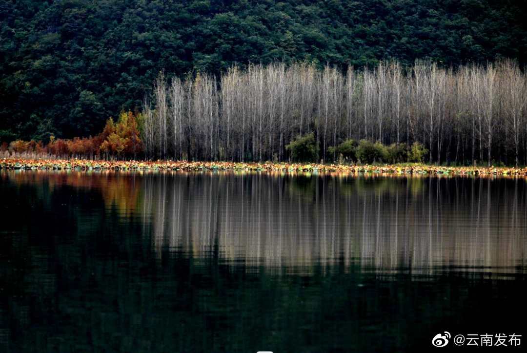 “云南发布”微博