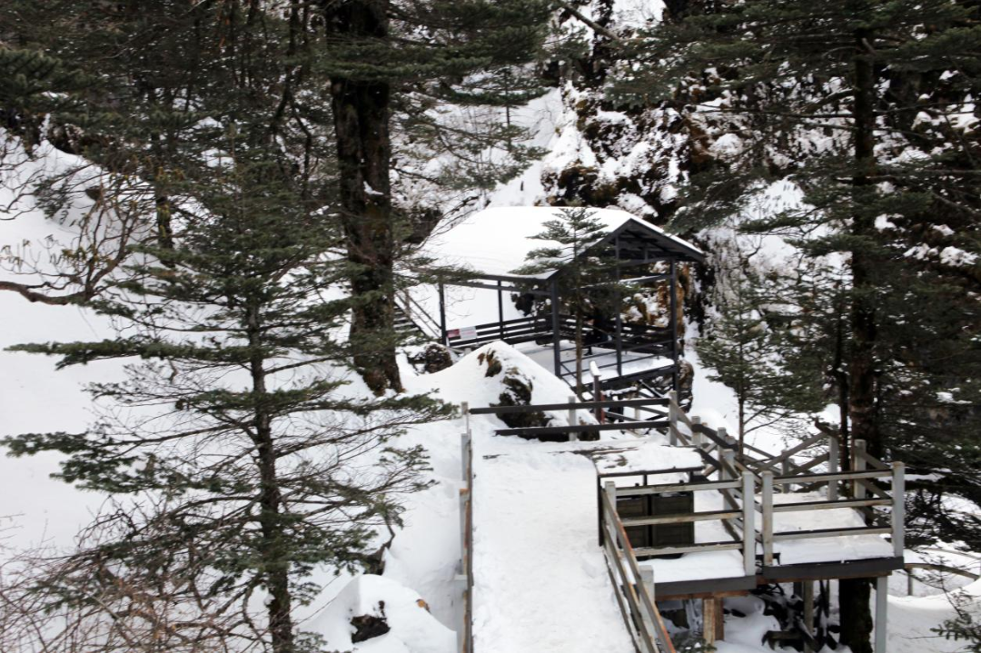 昆明轿子山旅游