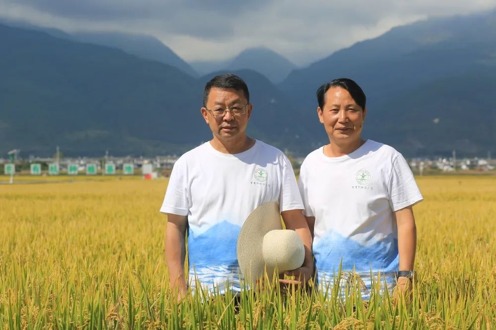大理电视台