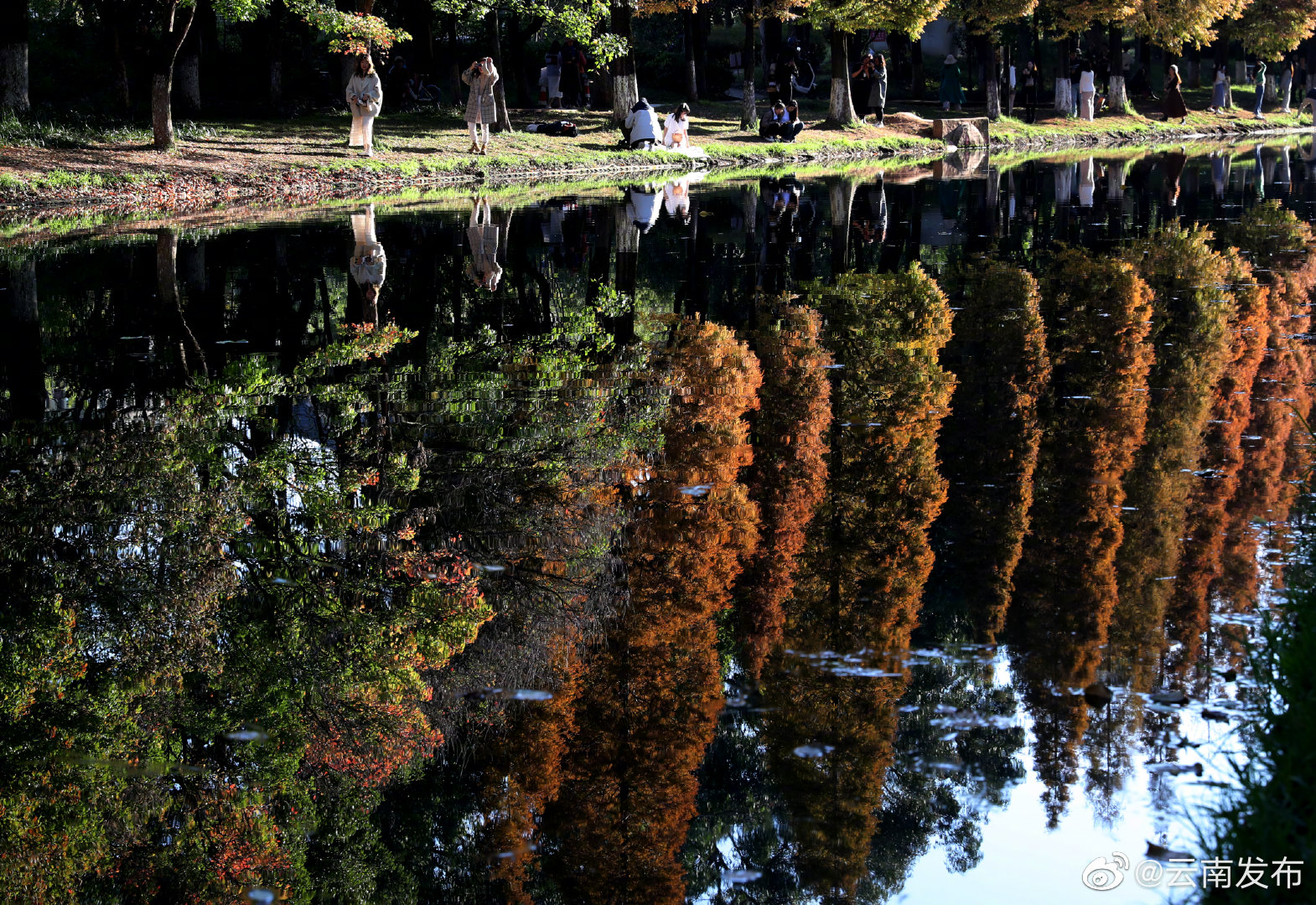 “云南发布”微博