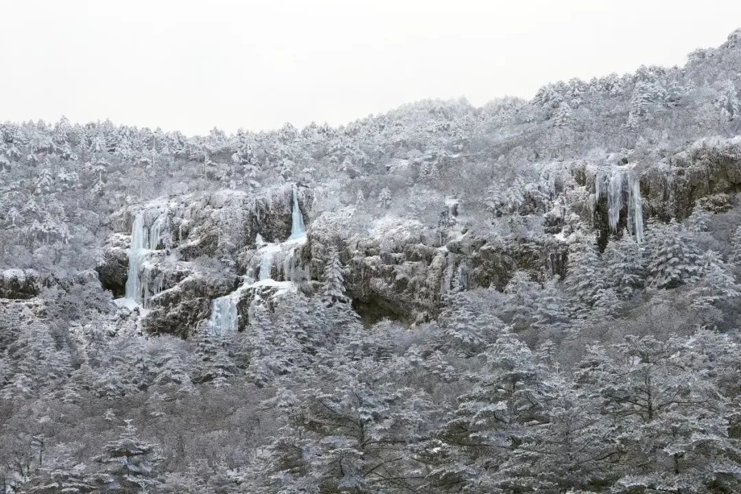 昆明轿子山旅游