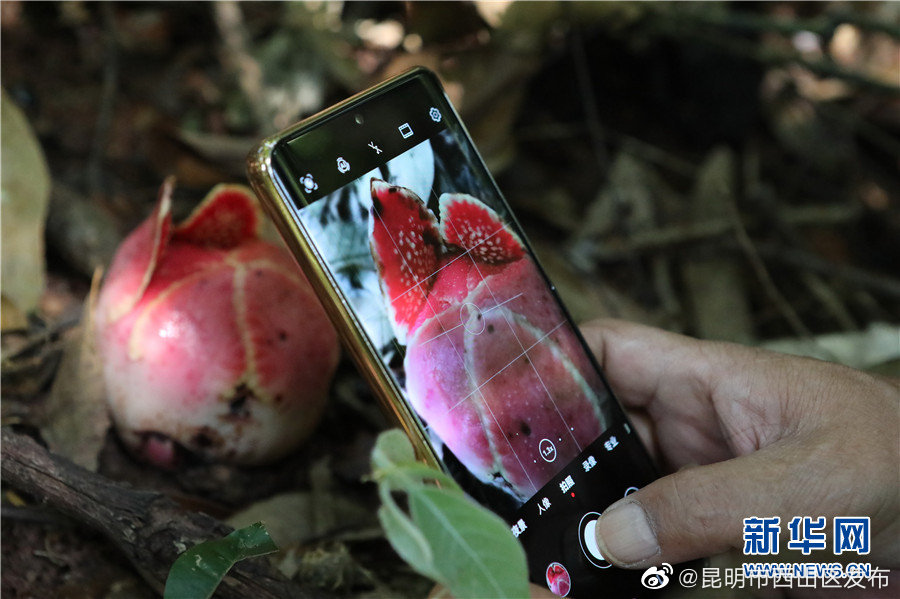 昆明市西山区发布