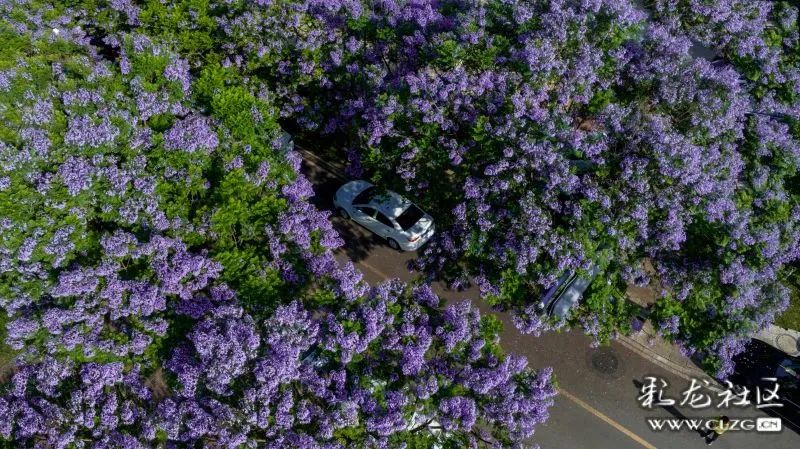 昆明信息港/cnkmxxg