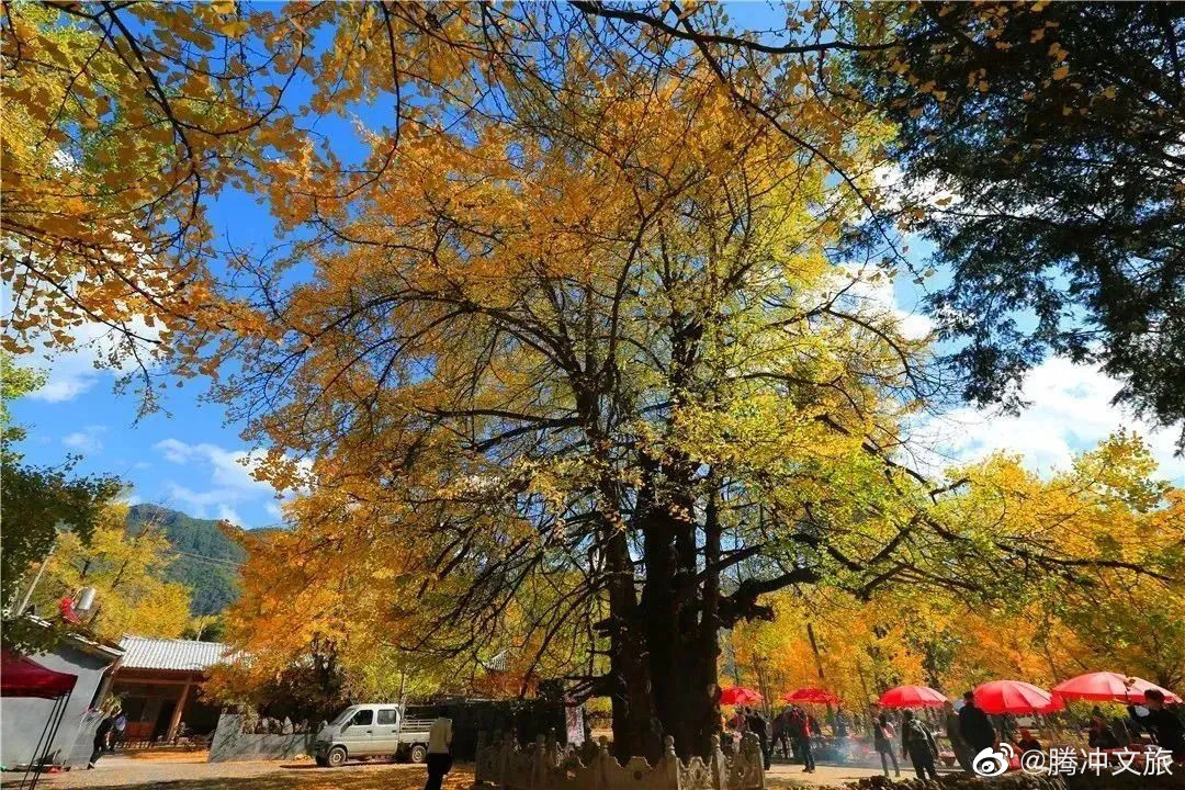 腾冲文旅微博