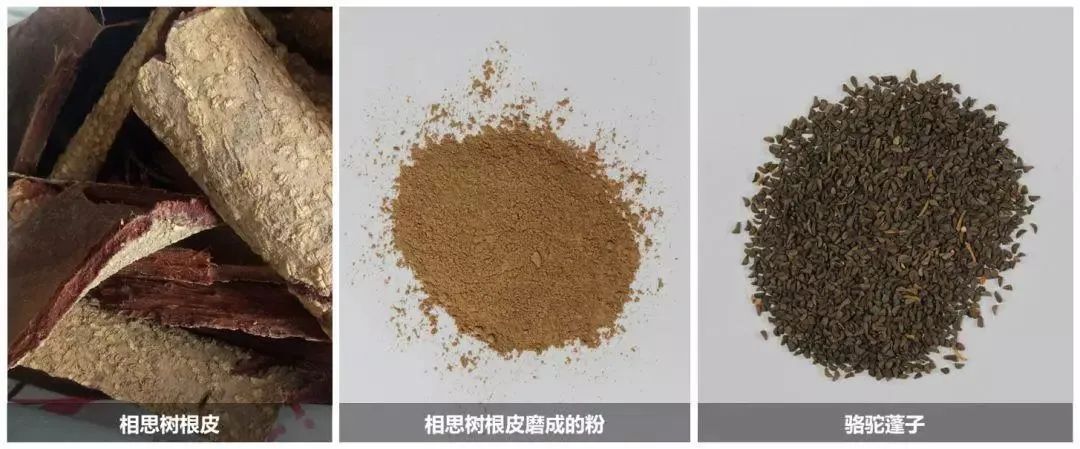 石林融媒
