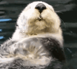 洗脸要跟毛囊反着来 