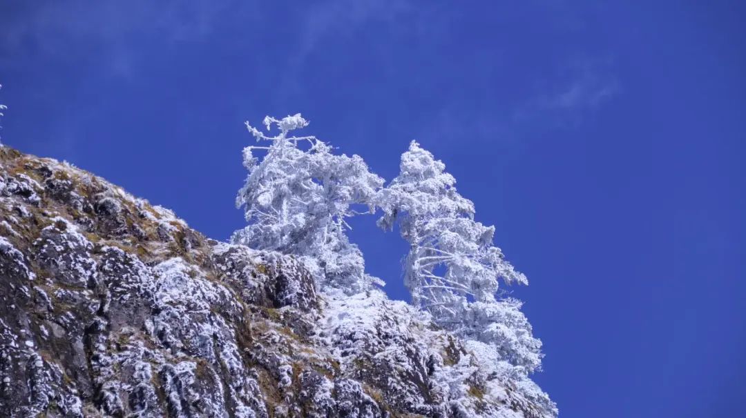 昆明轿子山旅游