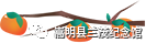悦读嵩明
