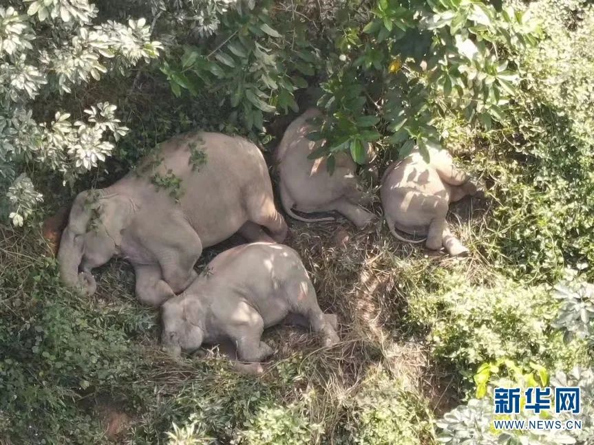 昆明信息港/cnkmxxg