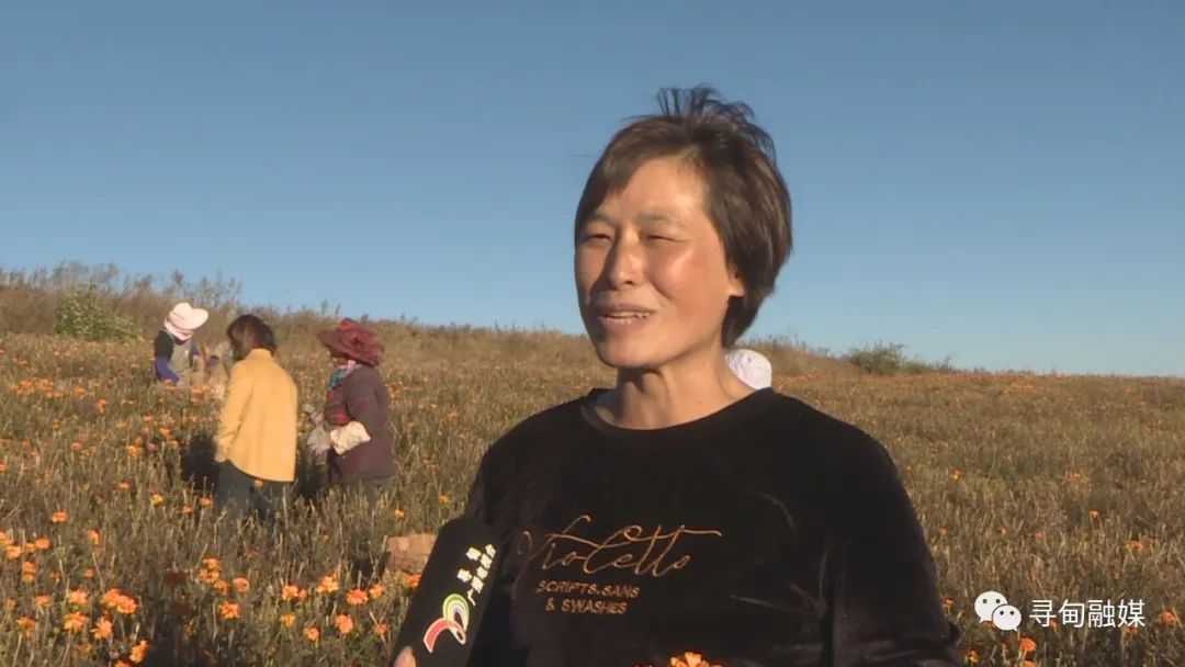 寻甸融媒