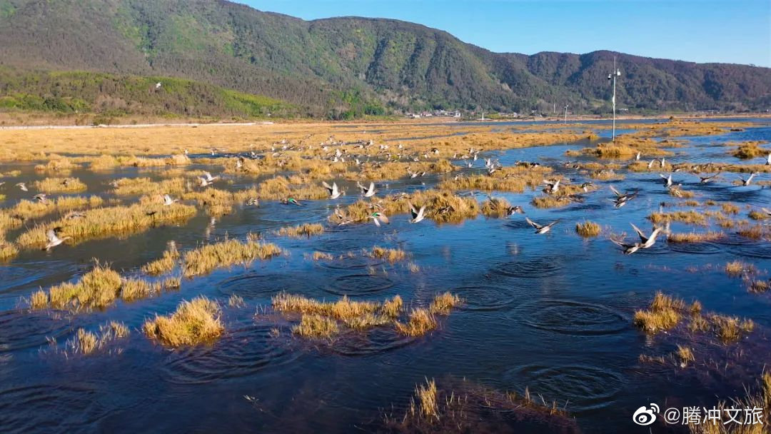 腾冲文旅微博