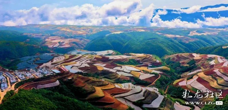 昆明信息港/cnkmxxg