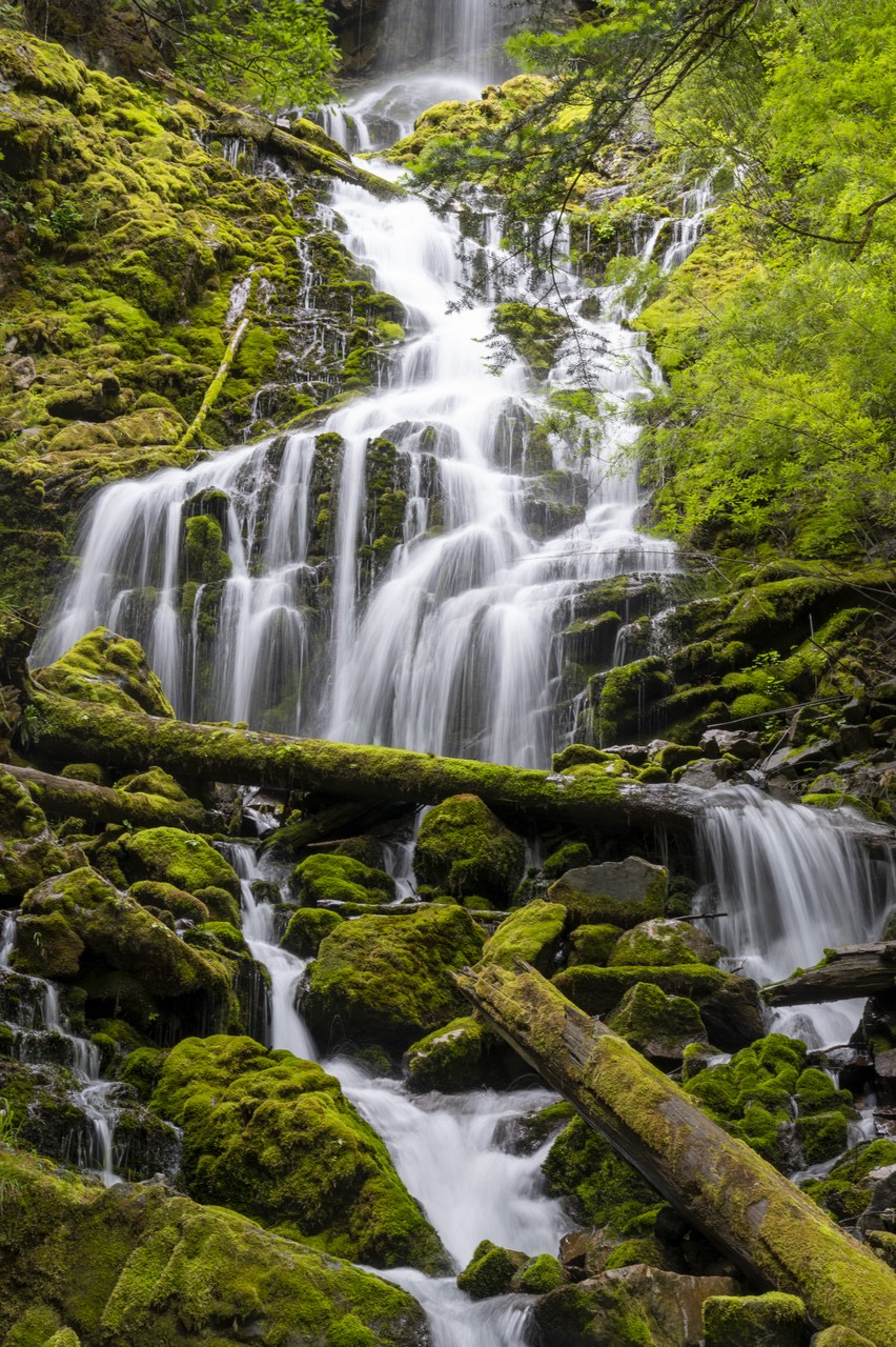 一部手机游云南