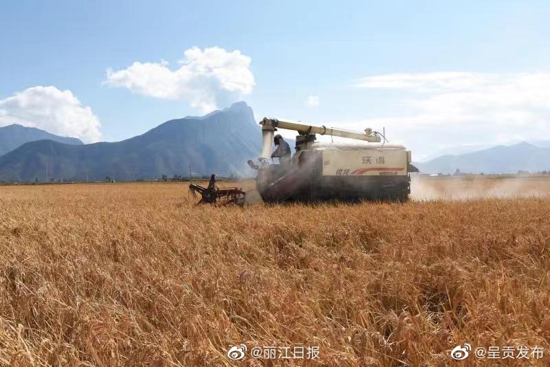 呈贡发布
