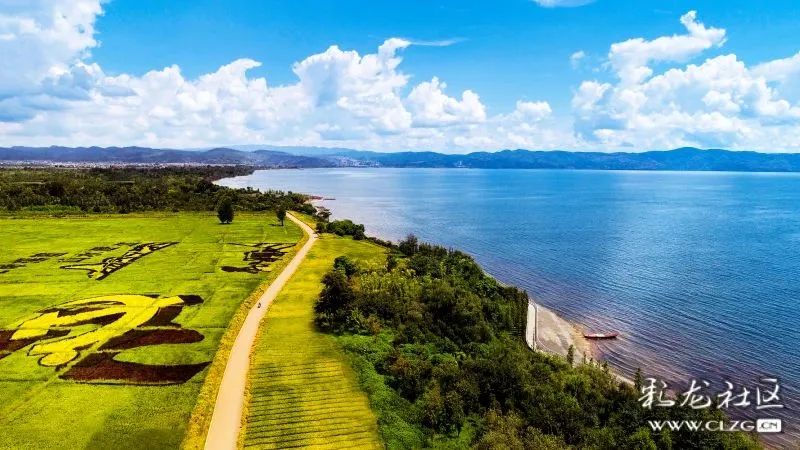 昆明信息港/cnkmxxg