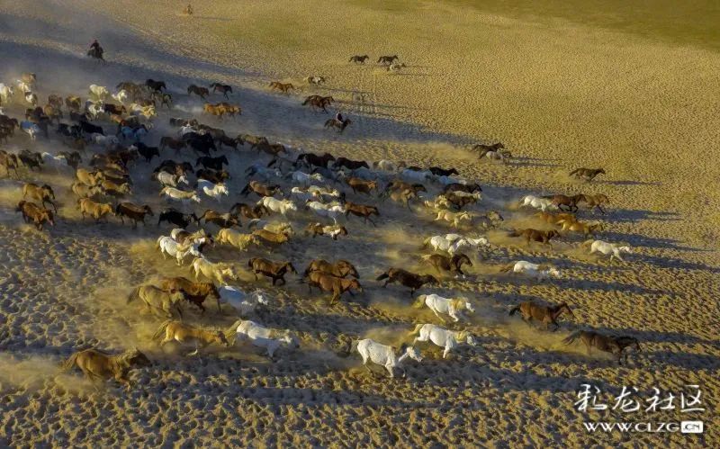 昆明信息港/cnkmxxg