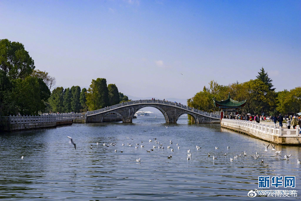 “云南发布”微博