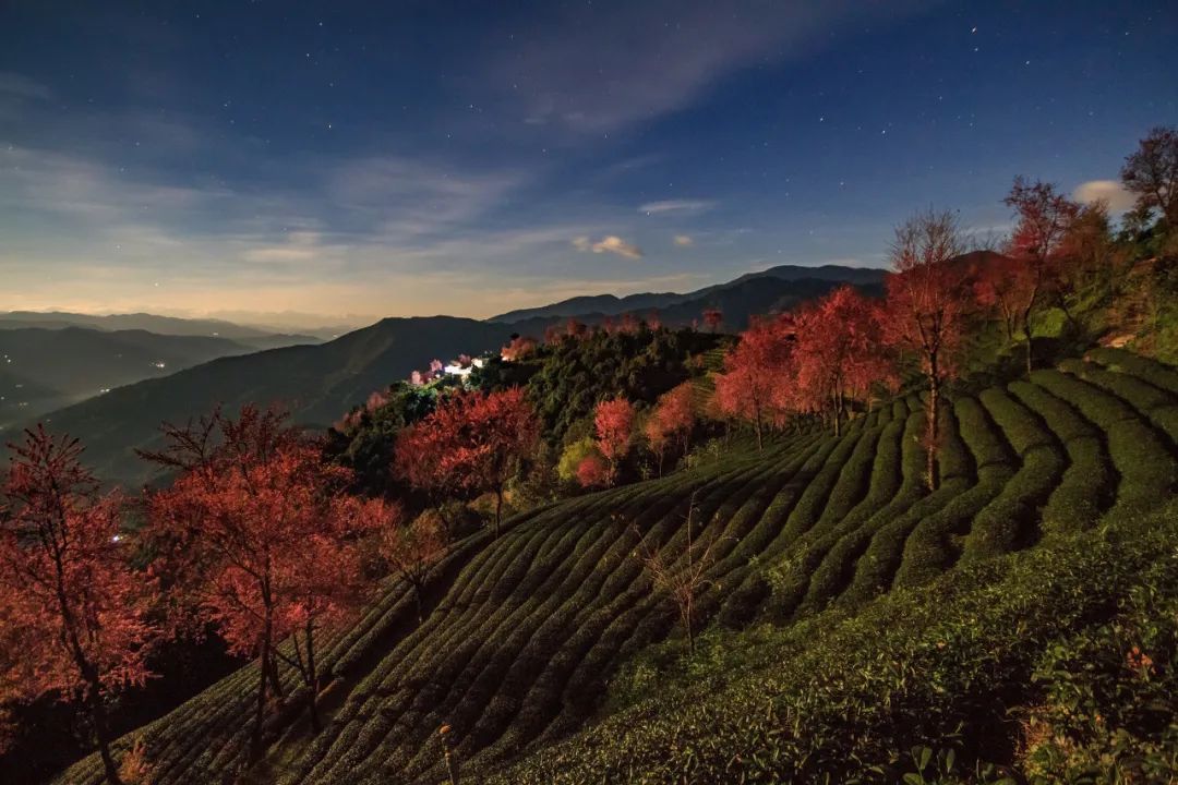 一部手机游云南